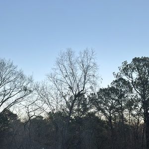 Meet your Posher, Billy